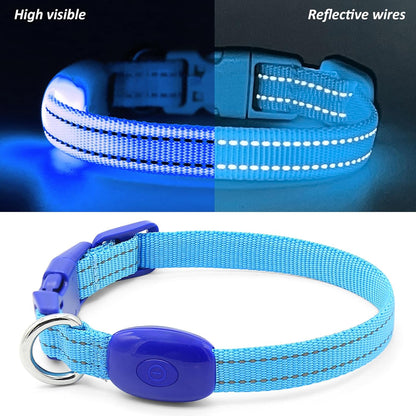 Puppy LED Dog Collars - USB Rechargeable Light up Dog Collar Adjustable Reflective Pet Collars Keep Your Small Dogs and Cats Be Seen & Safe in the Dark (XS, Royal Blue)