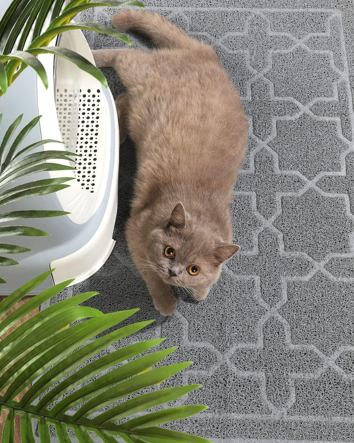 Durable Premium Cat Litter Mat, XL Jumbo and Extra Large Cat Box Mats, Easy Clean Non-Slip and Water Proof Litter Trapping Mat, Pet Litter Floor Mats, Soft, No Phthalate