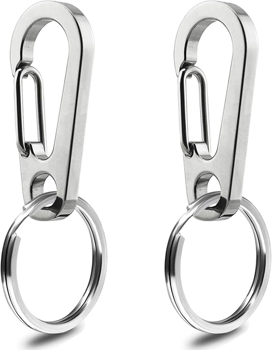 IVIA Dog Tag Clips / 2 Pack/Multiple Size 304 Stainless Steel Quick Clip with Rings/Easy Change Dog Cat ID Tag Holder for Small Pet Collars and Harnesses.(2 Large Silver)