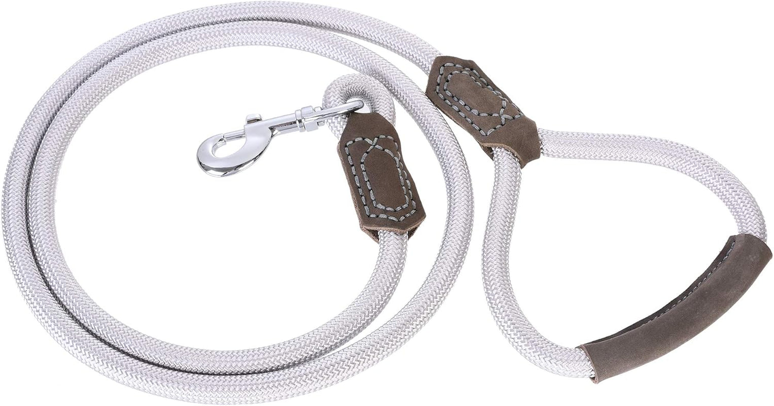 | Premium Leather Dog Leash | Strong Rope Leash | Leather Handle | Zinc Alloy Strong Clasp | Small Medium Large Dogs | 4/5/6 Feet(Sliver, 60 Inch (Pack of 1))