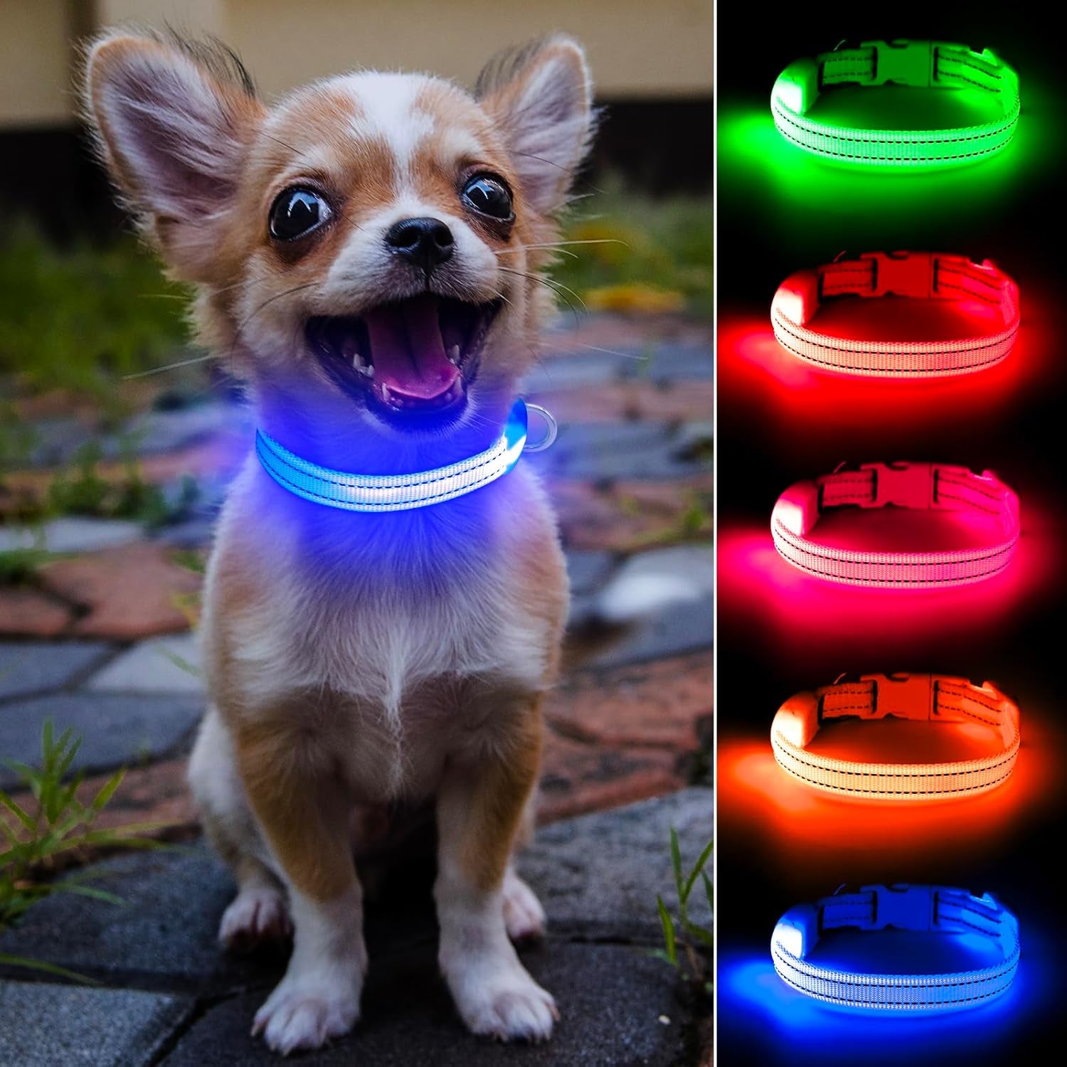 Puppy LED Dog Collars - USB Rechargeable Light up Dog Collar Adjustable Reflective Pet Collars Keep Your Small Dogs and Cats Be Seen & Safe in the Dark (XS, Royal Blue)