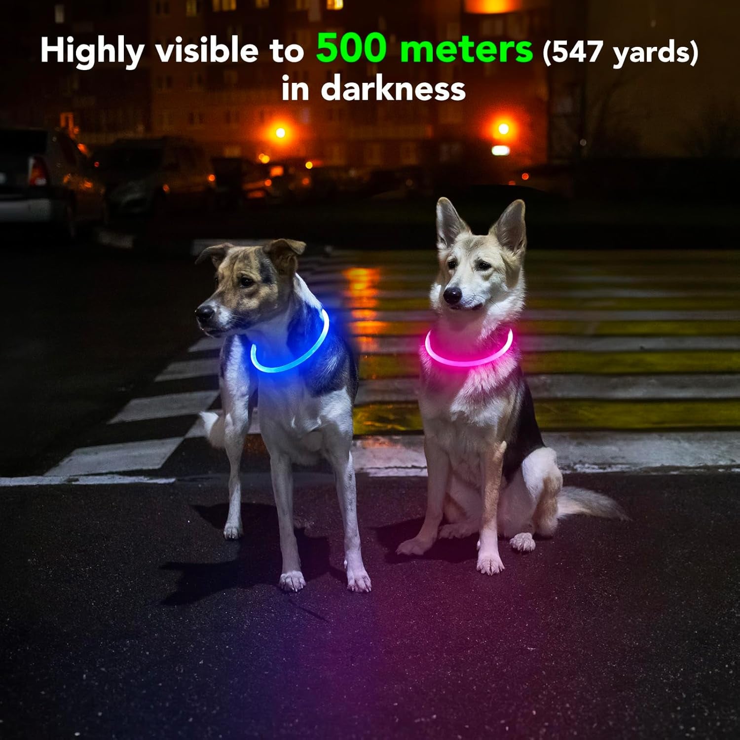 Light up Dog Collars - Waterproof LED Dog Collar, Glow in the Dark Pet Collars, TPU Cuttable Lighted Puppy Collar Lights for Small Medium Large Dogs (Pink)