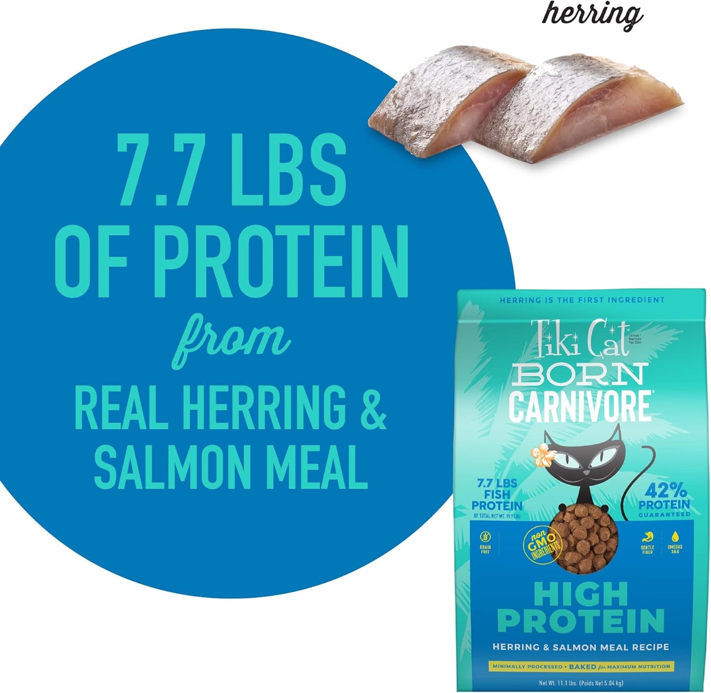 Tiki Cat Born Carnivore High Protein, Herring & Salmon Meal, Grain-Free Baked Kibble to Maximize Nutrients, Dry Cat Food, 11.1 Lbs. Bag